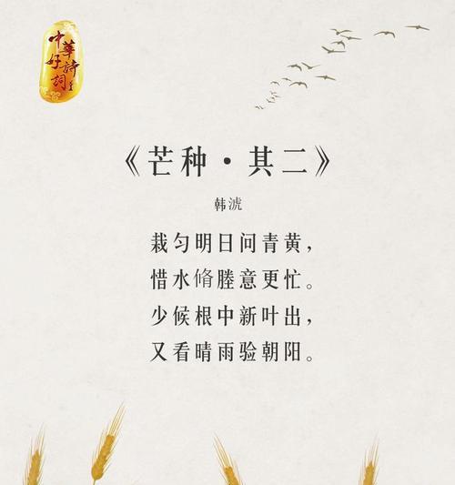 有关我最喜欢的芒种诗句作文的作文怎么写（《芒种时节的诗意青春》）