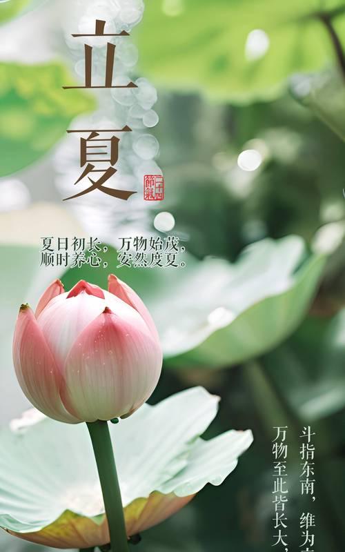 2024年立夏祝福语有哪些？（《立夏之序：节气流转下的诗意颂歌》）