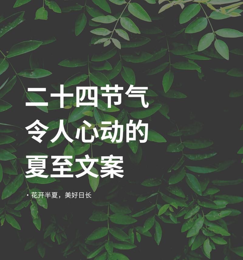 关于花和夏天的文案（《夏至花语：绣球暗香浮动，荷风送爽》）