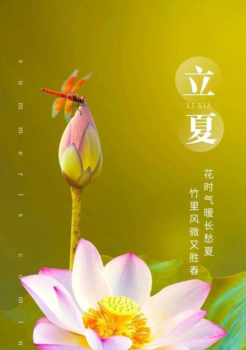 感恩立夏早安的句子好句有哪些？（《立夏之晨，感恩心语》）
