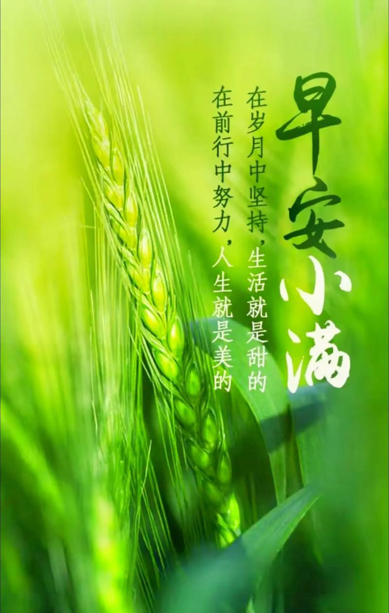 小满节气幽默句子好句有哪些？（《小满时节笑语间》）
