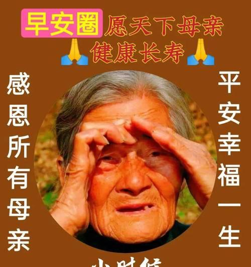 有关母亲节转帐祝福语的句子怎么写（《康乃馨下）