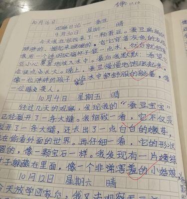 四年级立夏炒蚕豆作文怎么写？（《四年级立夏炒蚕豆作文》）