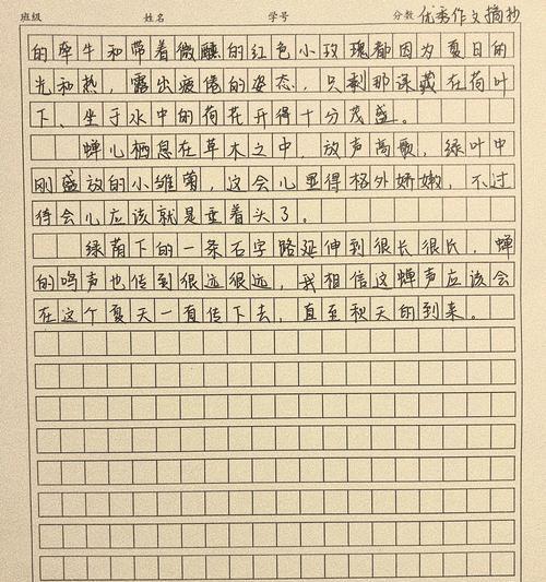 有关写夏至的作文题目的作文怎么写（《夏至未至，青春正好》）