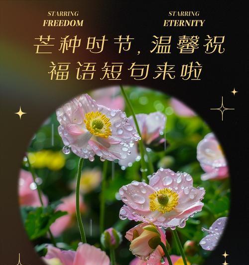 2024最新芒种祝福语说说（《芒种情深，诗韵悠长》）