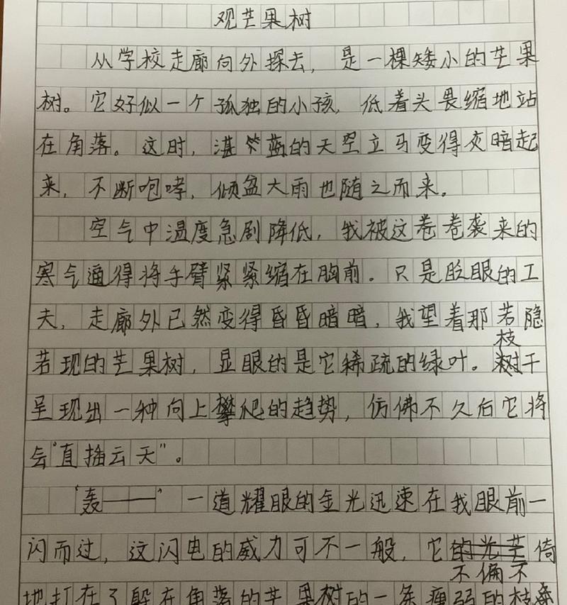 小学芒种杯作文怎么写（《芒种时节的灵感之约》）