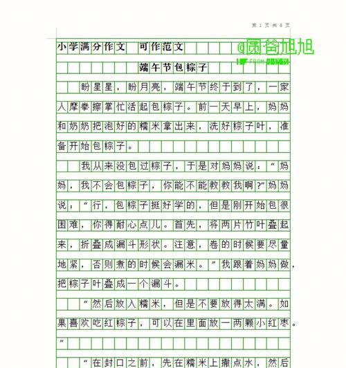 端午节的作文怎么写是三年级（《龙舟水响，粽香飘》）