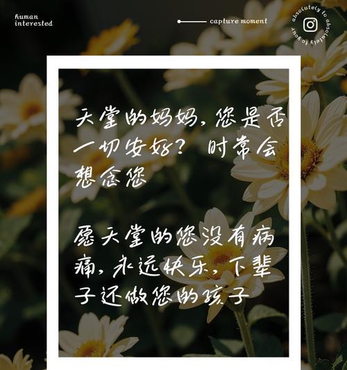 母亲节怀念天堂母亲的文案怎么写？（《清辉遗梦：碧落黄泉寄哀思》）