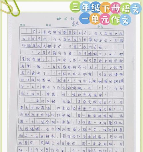 夏至荷花大全（《夏意浓情，荷韵悠悠——与好友赏荷记》）