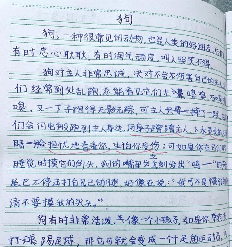 小满含义是什么意思?小满的到来预示着什么?（《小满的意外访客》）