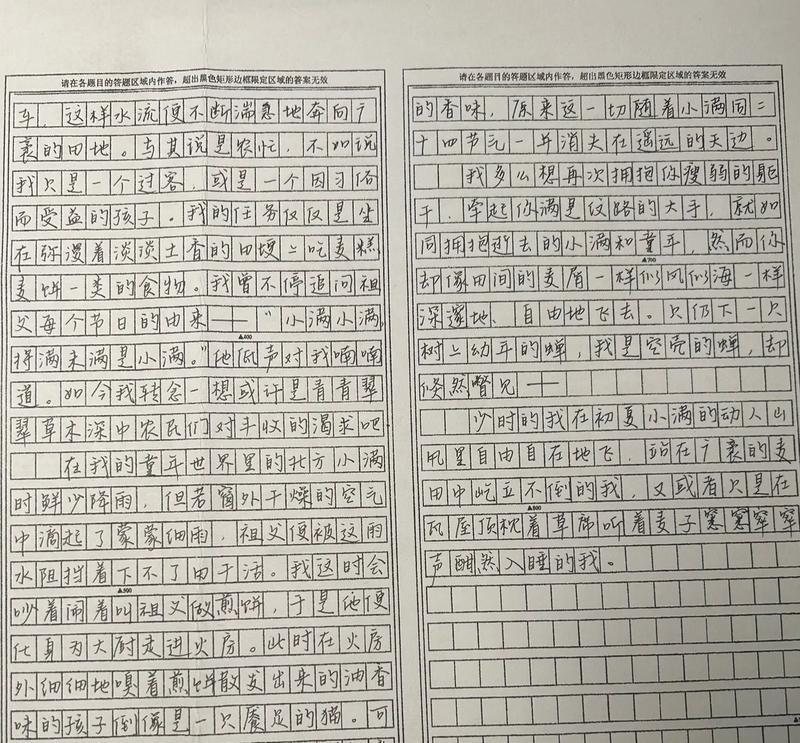 有关小满是个大超人作文怎么写的作文600字（《小满是个大超人作文怎么写》）