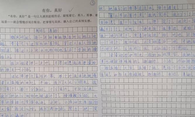 有关芒种杯征文比赛作文的作文怎么写（《芒种时节的青春篇章》）