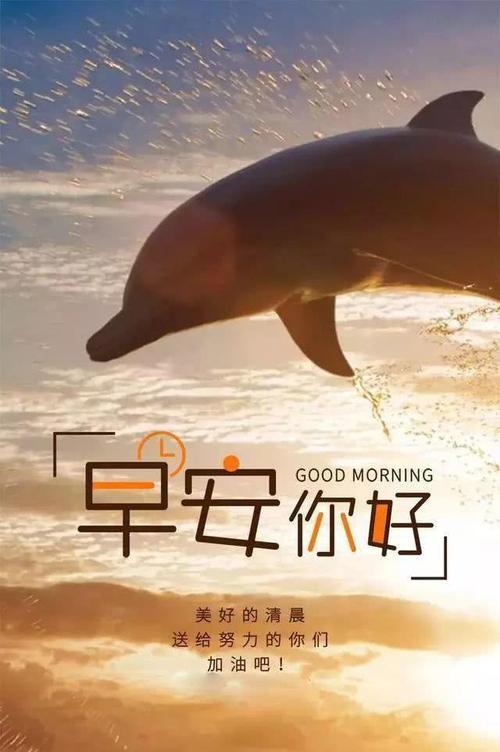 2024，清晨的美丽短句（以短句传递爱与美）