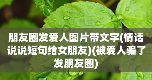 用心记录，感受生命中的美好瞬间（用心记录）
