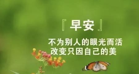 晨曦初露，清新早安（以美好的心情迎接新的一天）