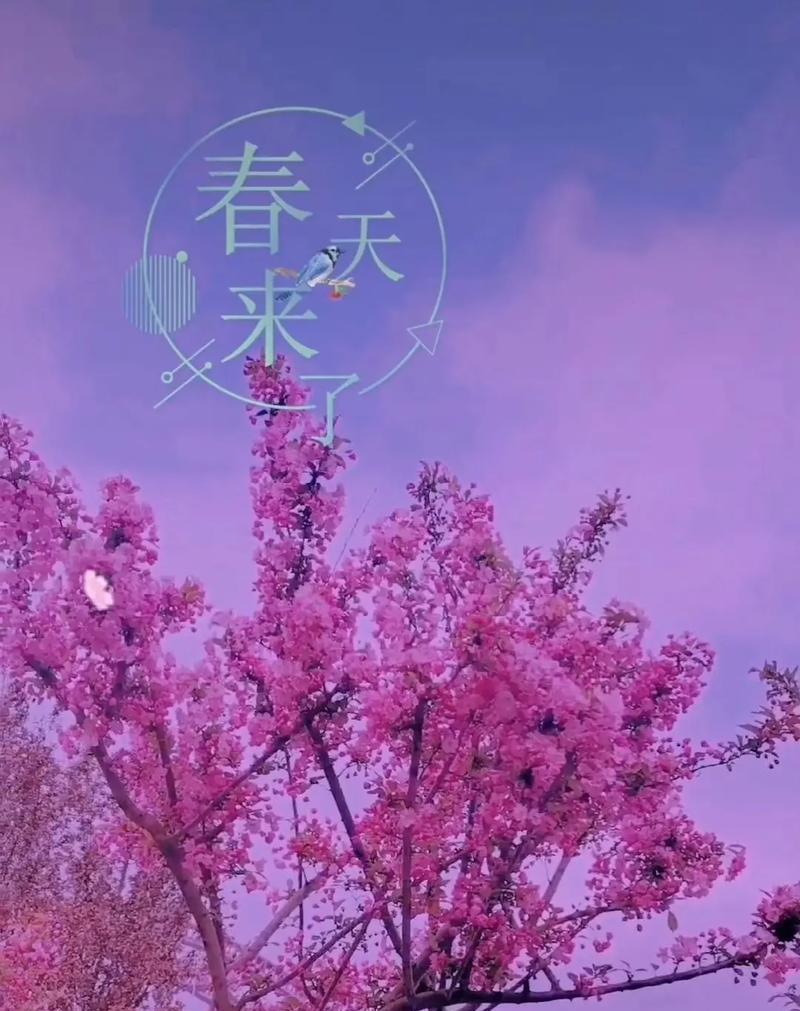 《再见三月，你好二月》
