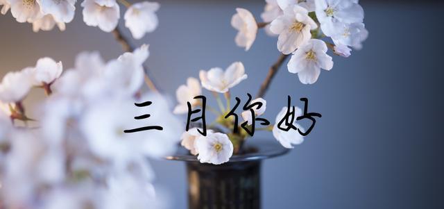 岁月如梦，二月再见三月你好（唯美短句）