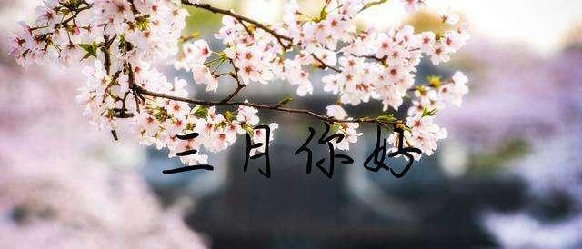 《岁月静好，花开无声》