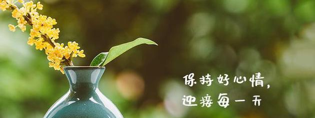 二月心情说说：恬淡生活中的美好
