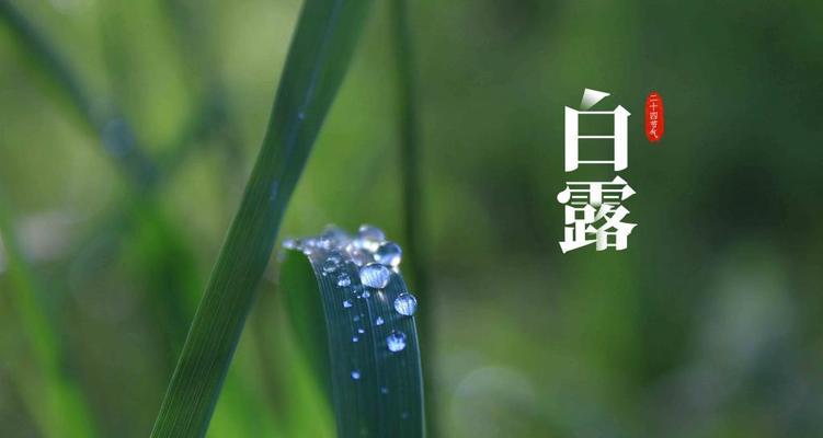 秋意渐浓，收获盈满（秋意渐浓）