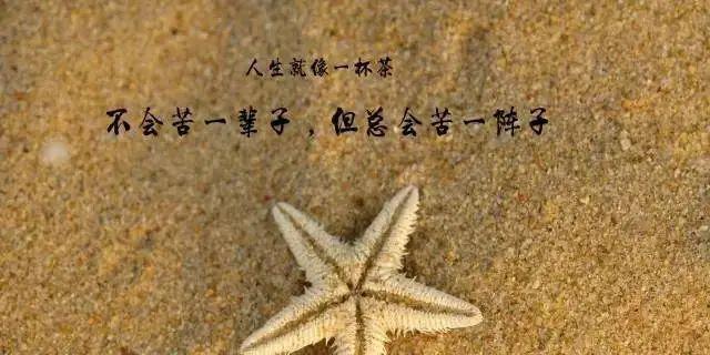 探寻生命的真谛（探寻生命的真谛）