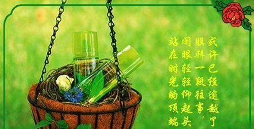 积极心态，美好生活（25个唯美句子带你感受生活之美）