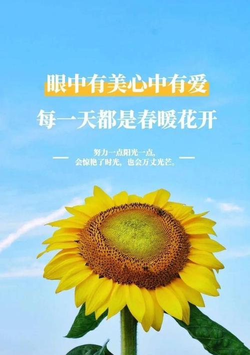 热情点亮生命的火焰（用激情走过人生路程）