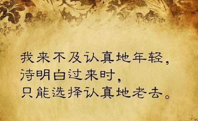 生活的态度——以对待生活态度的名言为主题