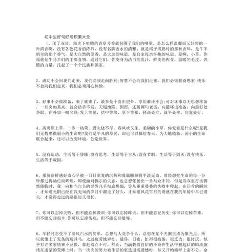 十六、端午节是一个传统的佳节，它代表了中华民族的传统和文化。