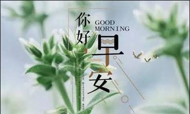 清晨如诗，早安句子点亮心灵（用文字温暖心灵）