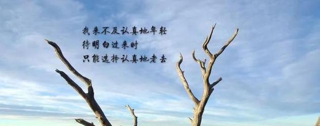 一份唯美的生活（唯美在身边）