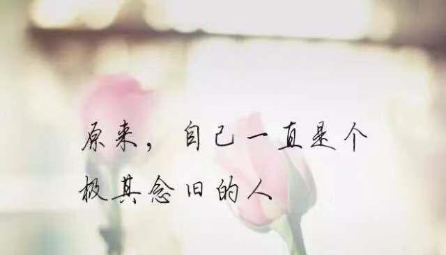 心灵的呐喊（用唯美的句子感受内心的美好）