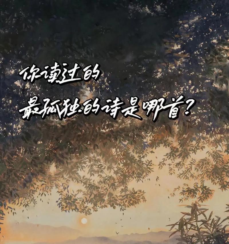 探寻孤独与美的奥秘（探寻孤独与美的奥秘）