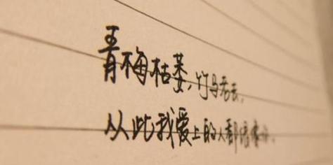 爱如初见，永恒不变（一生只为你）