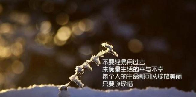 用青春绽放未来，燃烧激情成就辉煌（用青春绽放未来）