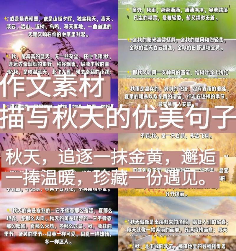 落英缤纷，秋意渐浓（探秋日之美）