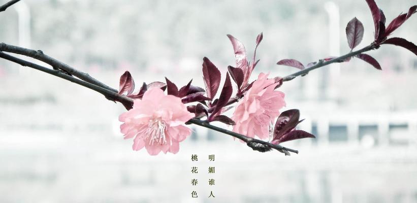 以相濡沫爱情，唯美唯美（浪漫而炽热的相濡沫爱情）
