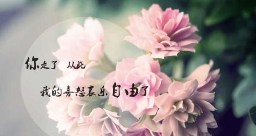生活的美好（一起寻找生命中的美好）