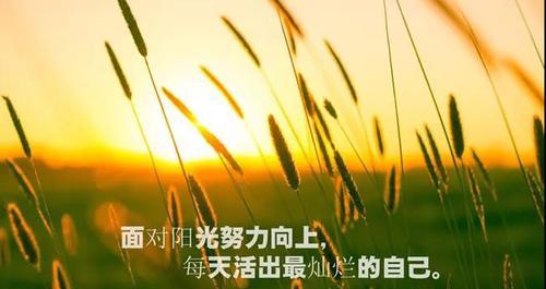 唯美正能量，点亮生命之光（用美好的心情迎接每一天）