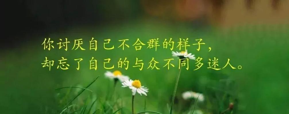 诠释人性之美（诠释人性之美）