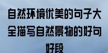 环境之美——探寻自然世界的诗意