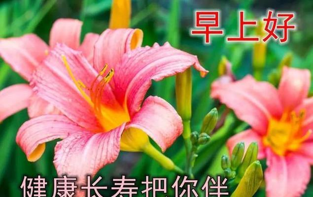唯美暖心祝福唯美短句（用一句话让你感受到温暖）