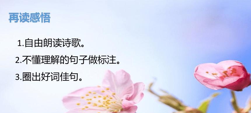 四月天的唯美世界（春天的芬芳）