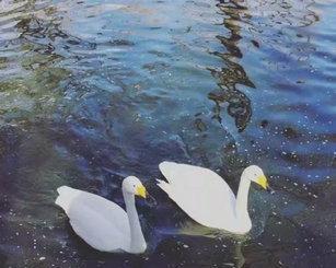 《海洋之梦》