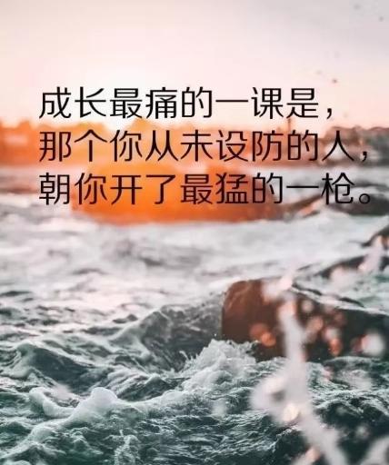 以法律正能量为底色的唯美生命（法律伦理的引领）