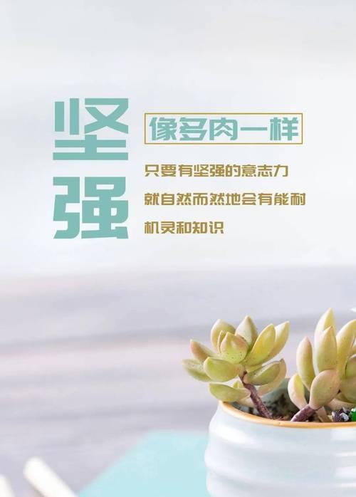 践行品味与风格，感悟人生哲理（践行品味与风格）