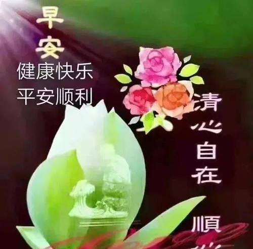 永葆青春与年轻（永葆青春与年轻）
