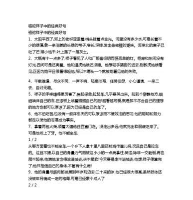 在苦难中绽放——《骆驼祥子》第六章好词好句赏析（用美丽的语言讲述生命的辉煌）