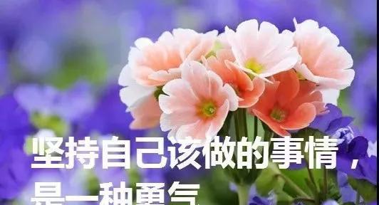 阳光美好生活（阳光下的美好时光）