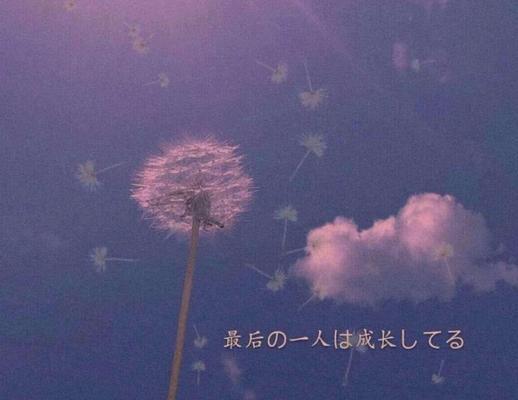 夏日仙境：唯美神话之旅